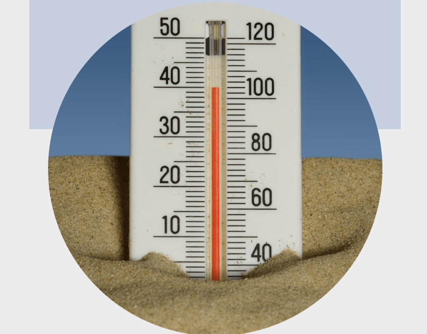 August 2025 Newsletter