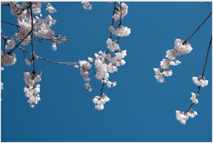 March 2026 Newsletter